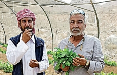 Üretimde maliyetler düşecek