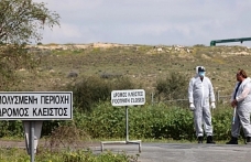 Hayvancılar yolu kapadı