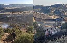 Avtepe - Kuruova arasında çıkan yangında buğday tarlaları küle döndü