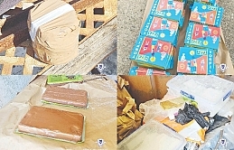 Güneyde ele geçirilen 233 kilo uyuşturucunun uluslararası bir organizasyonun parçası olduğu düşünülüyor