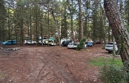 Patika: Ormanlar nefes alanlarımızdır, gelir kapısı değil