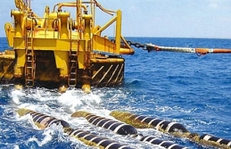 Mali destek istediler