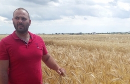 Kıbrıs iklimine uygun