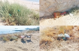 Duyarsızlık örneği