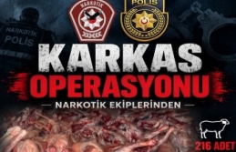 Karkas Operasyonu