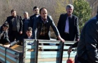 11 gün sonra  teslim oldu
