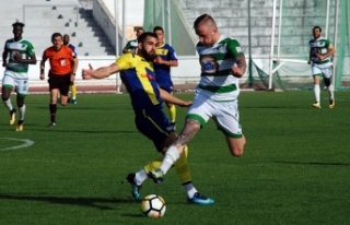 Kıran kırana mücadele