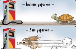 Kıb-Tek’in zararı  50 milyon TL