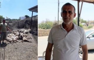 Zarar büyük