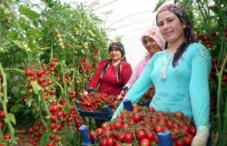 Açın kapıları ucuzlatın pazarı