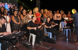 Beyarmudu Belediyesi tarafından düzenlenen festival...