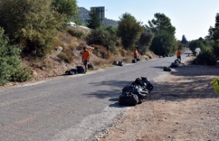 Boğaz Piknik Alanı  pırıl pırıl oldu