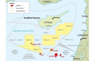 3 aylık çalışma