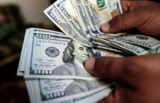 Dolar kaybettirdi
