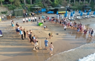 Meritta, bir anne kaplumbağaya ve yavrularına daha...