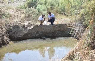 ‘Tüm yıla yaydık’