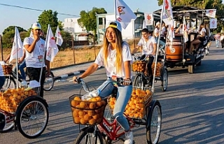 Düğün ve festivallere izin çıktı