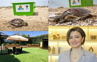 Meritta, Kaplumbağalara hayat umudu oldu