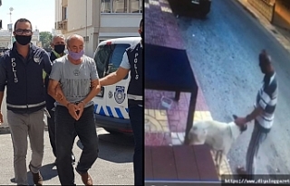 Köpeğe cinsel saldırıda bulunan adam hapse gönderildi