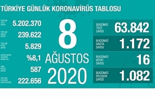 Türkiye'de 24 saatte bin 172 yeni vaka