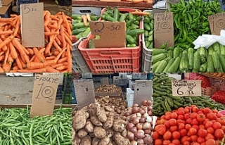 Pazarın en ucuzu ürünü salatalık