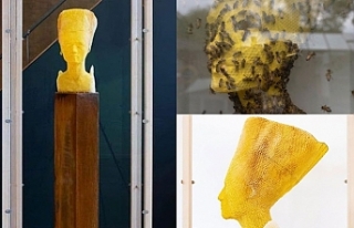 Slovak sanatçı 60 bin bal arısıyla Nefertiti büstü...