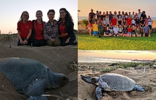 29 yıldır emek veriliyor