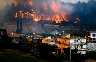 Antalya'da 4 ayrı noktada yangın çıktı