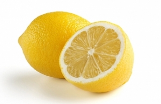 Limon rekora koşuyor