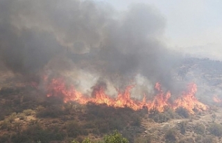 Doğa kendini yenilemeli