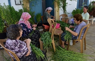 Komşular birlikte ayıklıyor