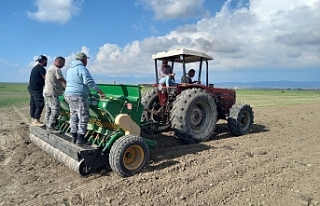 30 dönüme  17 çeşit ekildi