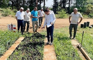 Oğuz: Her türlü destek veriliyor