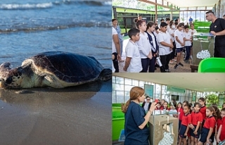 Caretta Caretta  için büyük tehlike