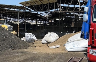 Yakılarak imha edilecek