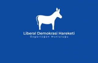 Liberal Demokrasi Hareketi: Devletin kurumlarında...