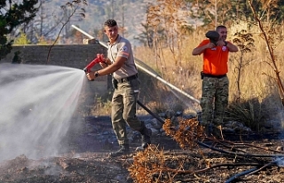 Zarar büyük