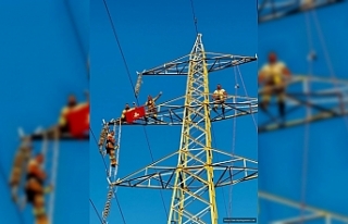 Görenler korkudan titredi