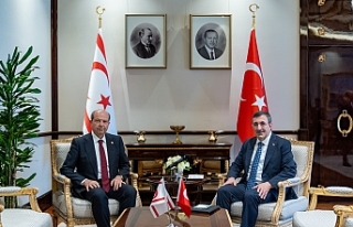 T.C Cumhurbaşkanı yardımcısı Cevdet Yılmaz Cumhurbaşkanı...