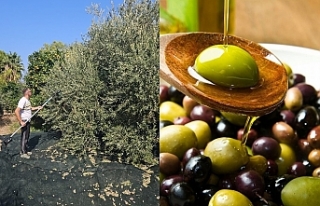 Uymayana ceza var