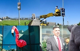 ‘Doğanın imzası’