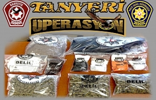 ‘Tanyeri operasyonu’