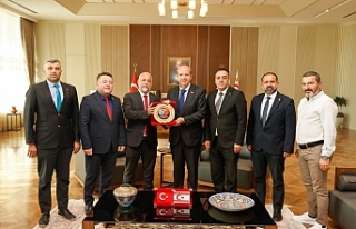 ‘Terör hareketi gibi’