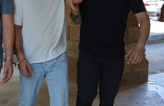 2 gün hücrede