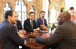 Çözüme destek