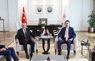 Güçlü destek