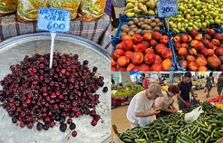 Güneyden pahalı