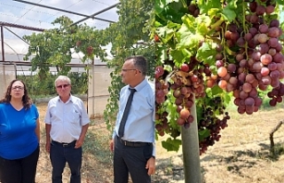 Üretimde İtalyan tekniği kullanılacak
