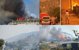 Vatan düşmanları