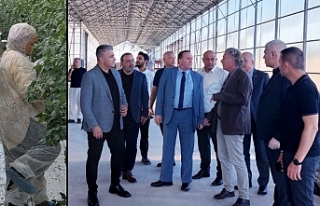 Uzmanlardan bilgi alındı